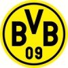 BVB Borussia Dortmund Tröja Barn